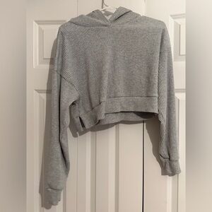 ALO Yoga Gray Cropped Hoodie